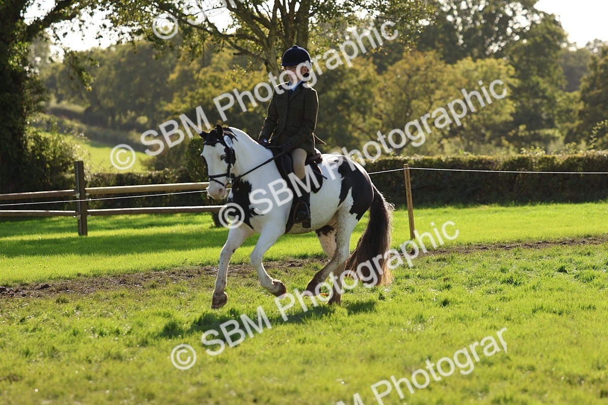 SBM_52461 - S13 - Pony Club Pony