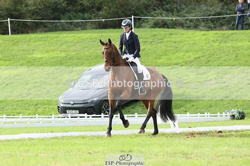 251024A-134419-12460 - F-475-Gracie.Stanbrook