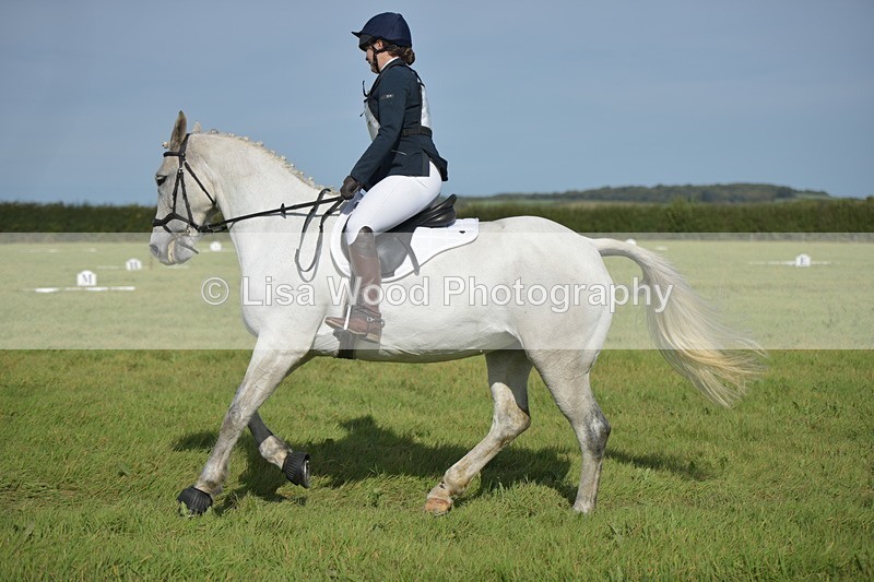 RAY_8133 - Class 2B: Trekenning Open: Dressage