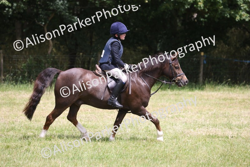 20260614-2791 - Class 22 - Open Working Hunter