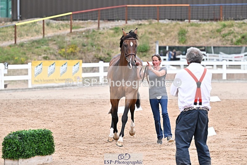 250716-164727-00760 - Trot Up 4.30 to 5.00
