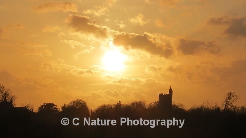 Sunset Silhouette - Sunsets