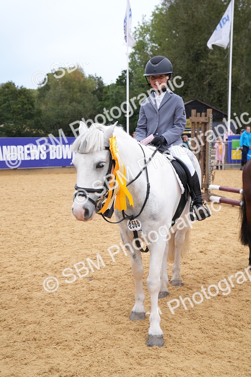 SBM_71776 - J3 - Mini Tour Junior Pony 40cm Championship