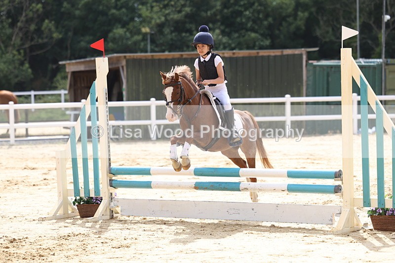 3E7A2011 - Class 10: Junior 60cm