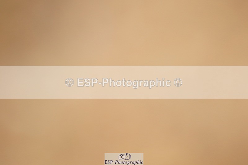 240317A-155354-07861 - Cls 29 Snr Foxhunter