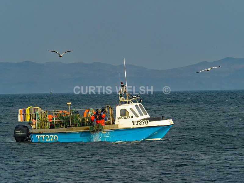 Creel Lifting - WEST of SCOTLAND