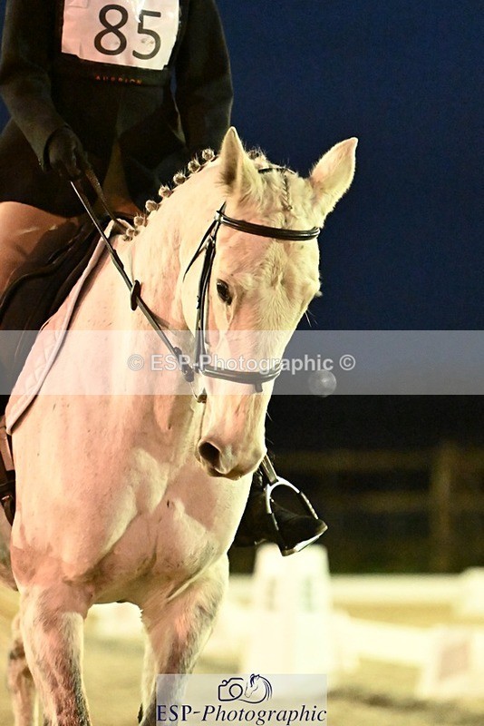 231105-171431-04625 - Cls 5 Novice 27 17.00 to End