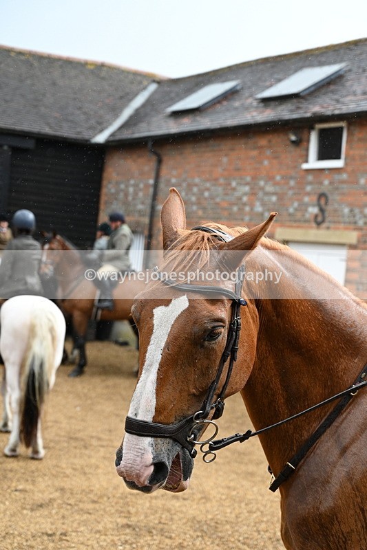 WJ7_6956 - Berks & Bucks at Blandy’s Farm 31-08-25