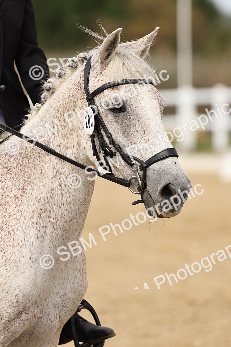 SBM_013165 - Class 3 - Novice 4 - 11.43-12.25