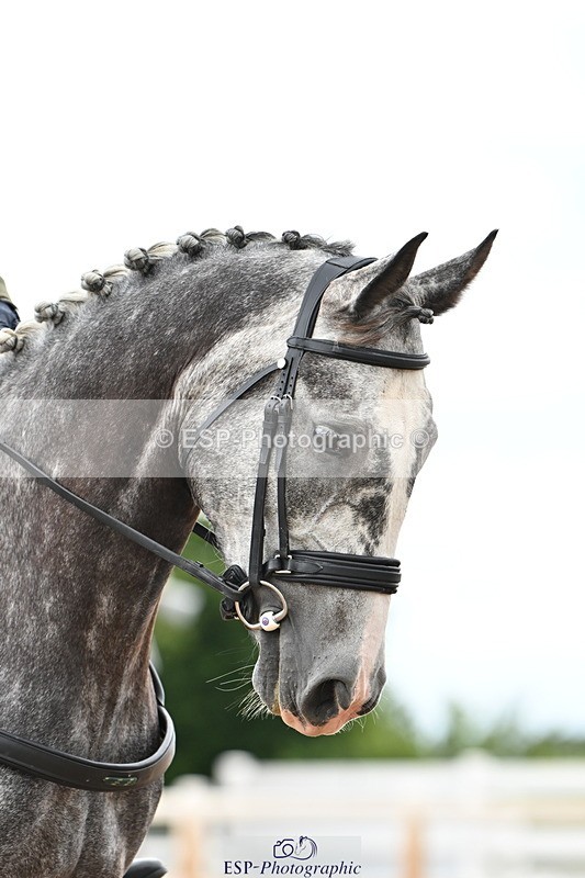 240622A-113812-08639 - Cls 3 Prelim 12