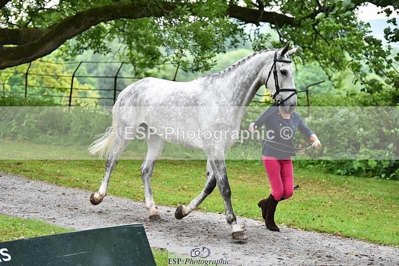 240522-162834-00944 - 208-KING_LOUIS-Mary_King