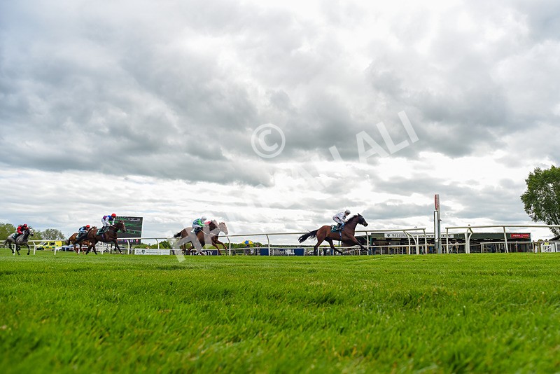 110526-Race 3-Laravie-2454 - Race 3 3.30pm Mick Rose Turns 70 Handicap