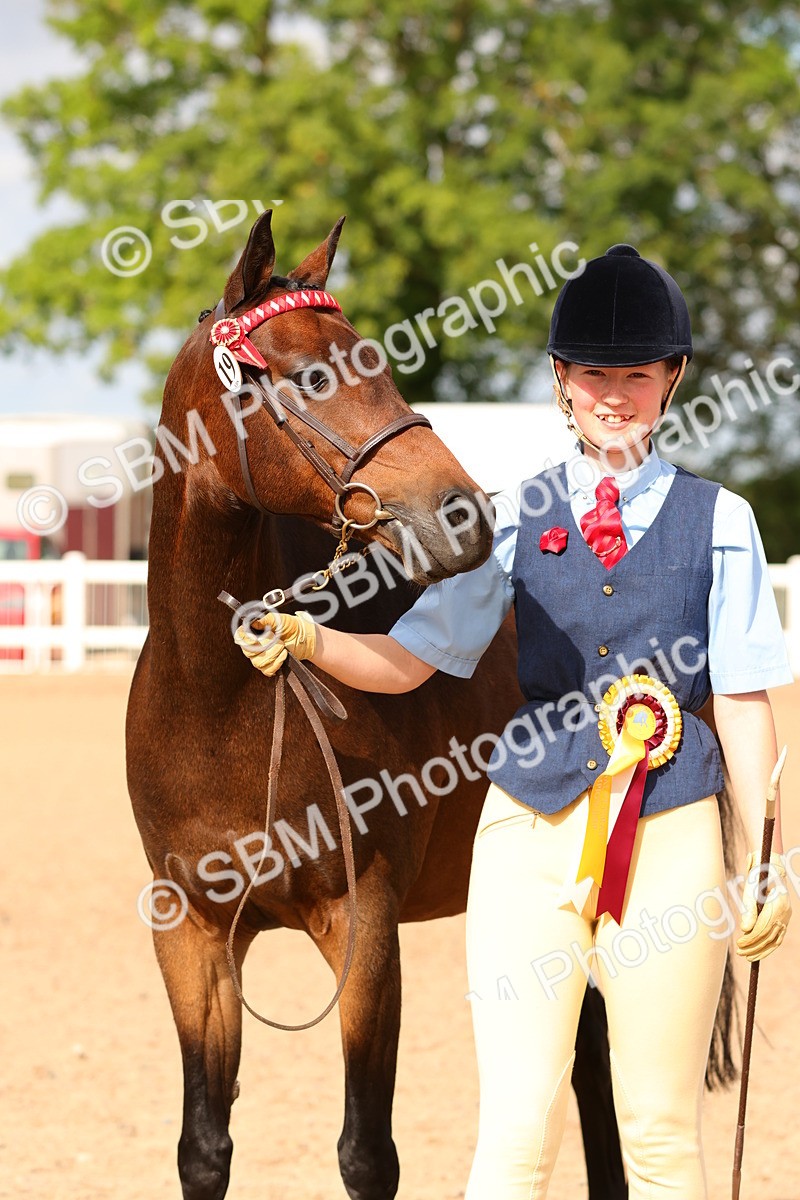 SBM_10249 - Class 205 - IH Show Pony - Show Hunter Pony