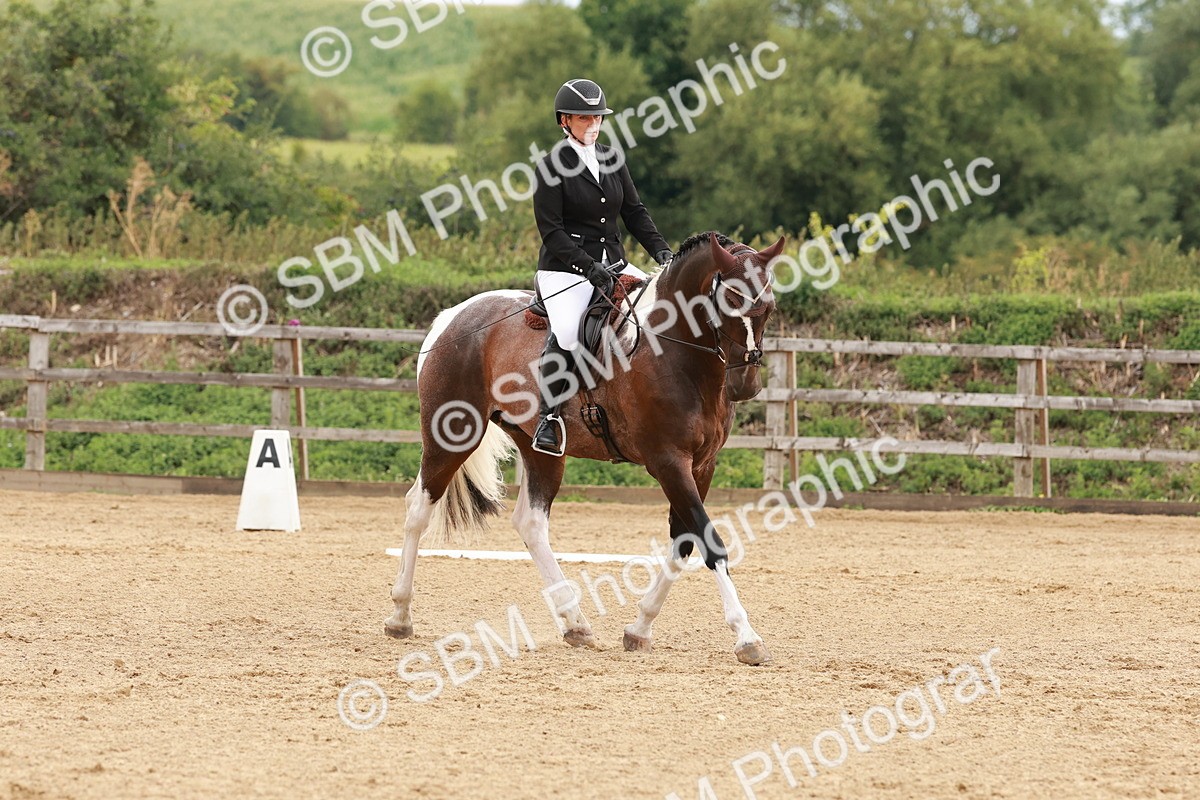 SBM_002755 - Novice 2