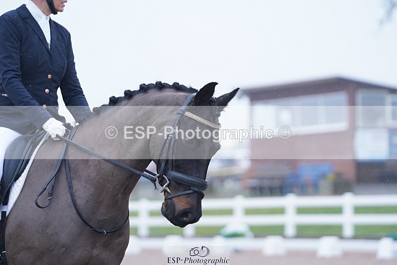 250215-102554-02796 - 201-Melissa.Lister-Lorretto.2