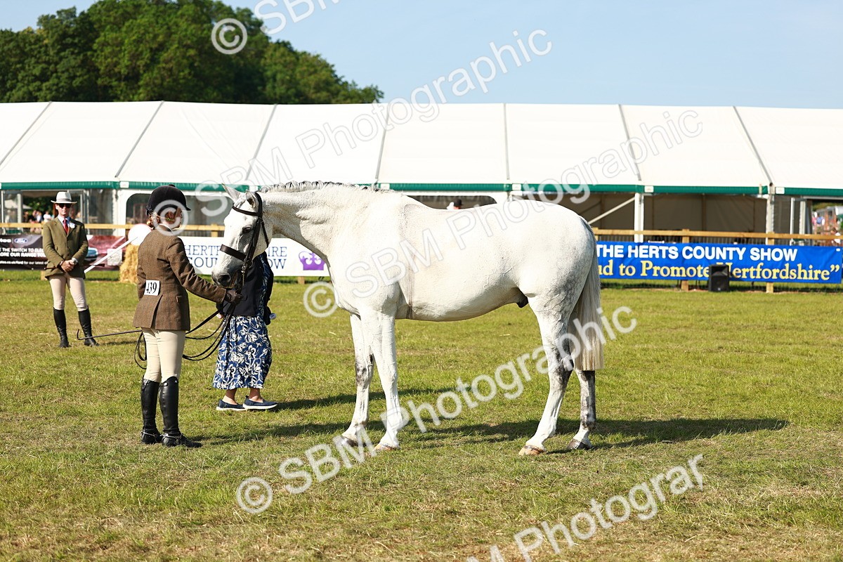 SBM_10943 - Class 66-69 - RIHS Ridden Hunters Inc Small Hunter