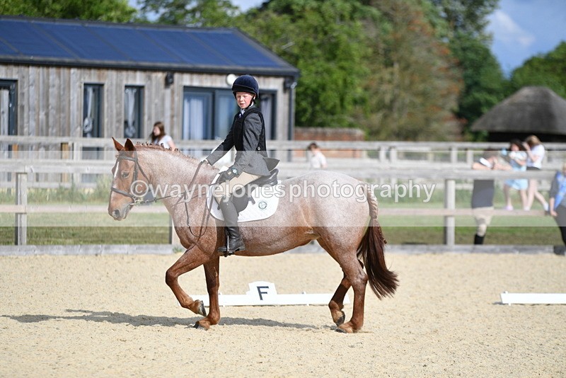 WJ5_7973 - Time 16:56 to 17:14