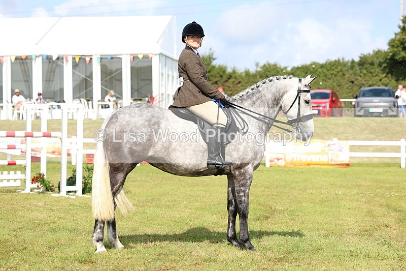 3E7A9180 - Class 3: Rising Star S/L Hunter