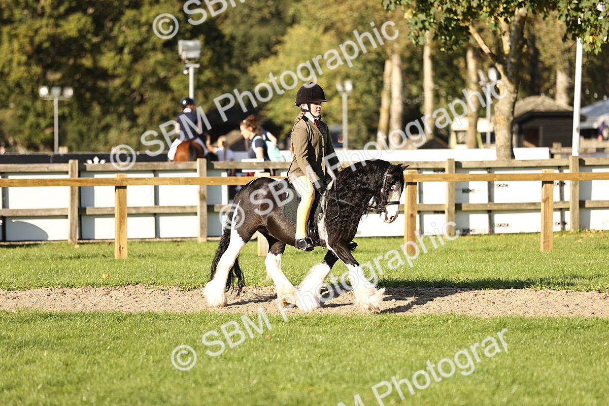 SBM_29425 - S7 - Novice & Newcomers Ridden Pony