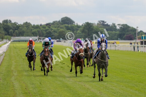 yr11062021r1-11 - Race 1 1.45pm eventmasters.co.uk British EBF Novice Stakes