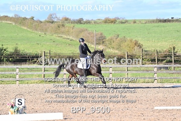BPP_9500 - SHORT ARENA PRELIM 3