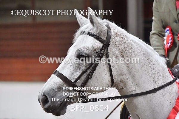 BPP_0804 - RING 2