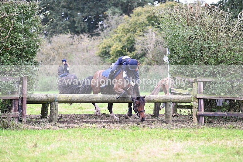 WJ7_1986 - Time at Photographer 13:27 to 14:14