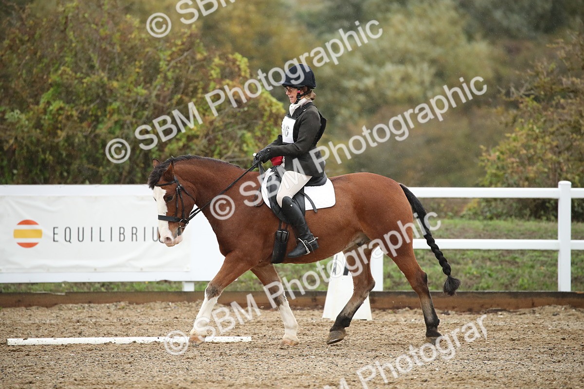 SBM_001390 - Prelim A-PYO