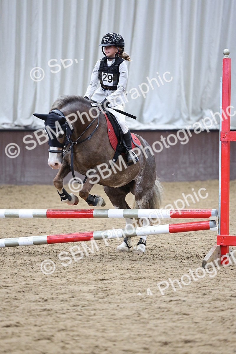 SBM_007340 - Class 2 - 50cm showjumping