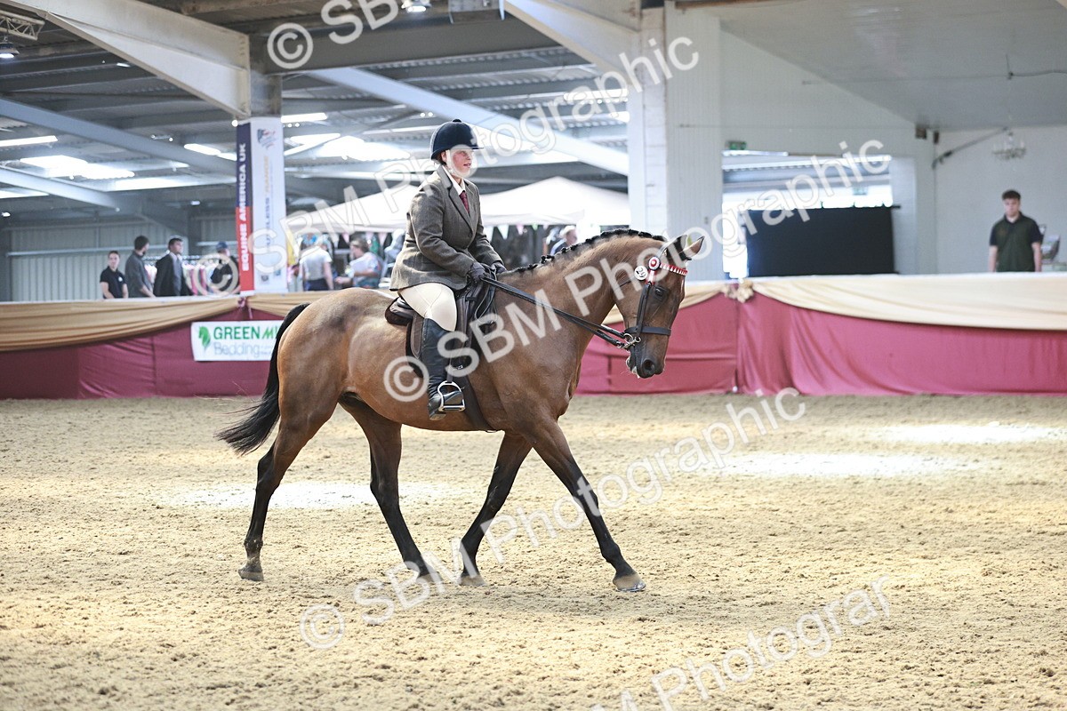SBM_07085 - Class 10R - Regional Ridden Diamond