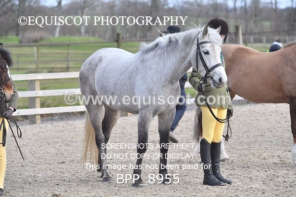 BPP_8955 - RING 2 - M&M