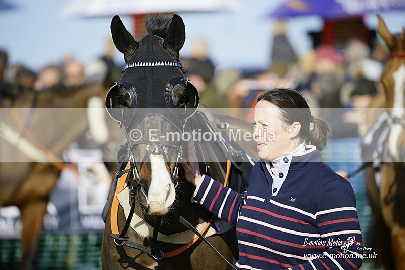 PtP 300122 65 - South Dorset Hunt - Point-to-Point Races 30/01/2022
