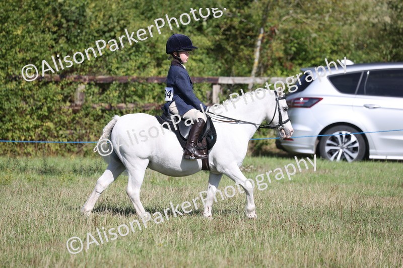 20260906-2144 - Class 16 - Family Pony