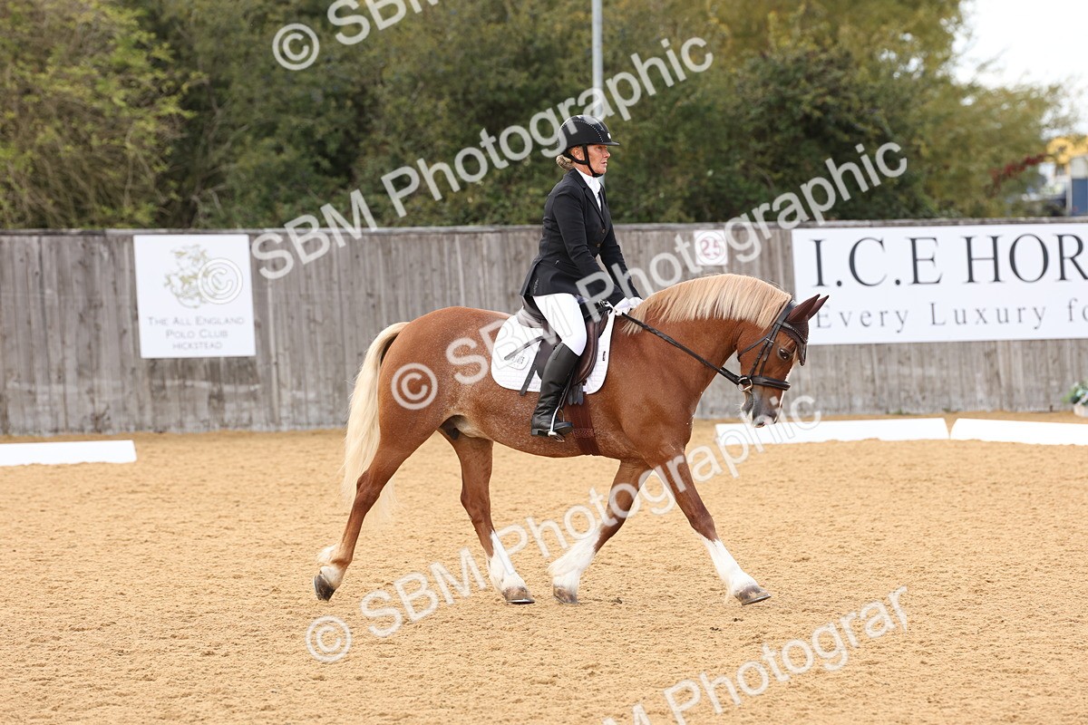 SBM_19511 - D10 - Small Tour Championship Prelim 2