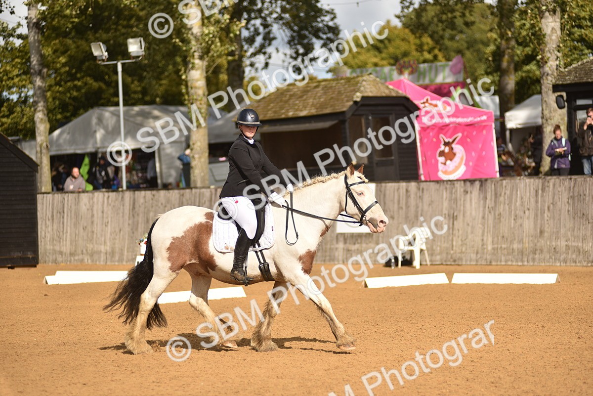 SBM_48864 - D22 - Junior Championship Intro 3