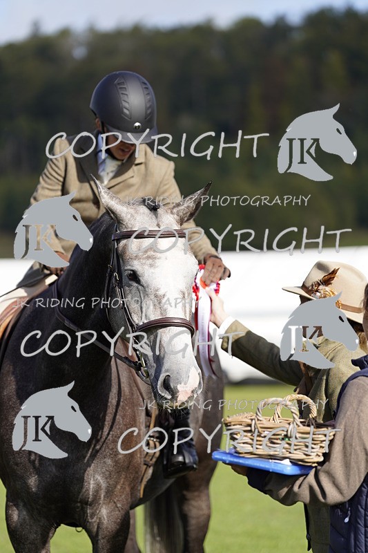 _DSC9587 - Class 8 & 17 Ridden Hunter & Ridden Hunter Pony