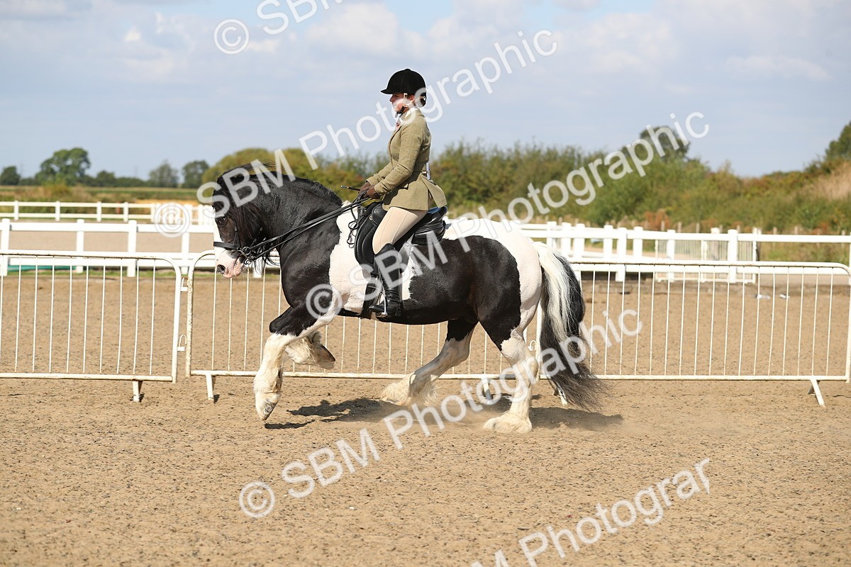 SBM_03158 - Class 44 Riding Club Horse/ Pony