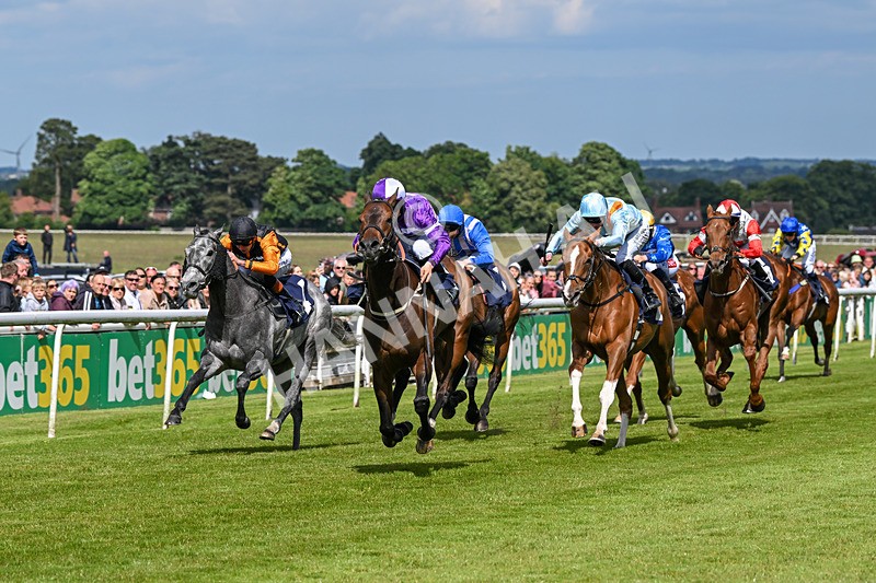 080624-Race 5-Ludos Landing-1448