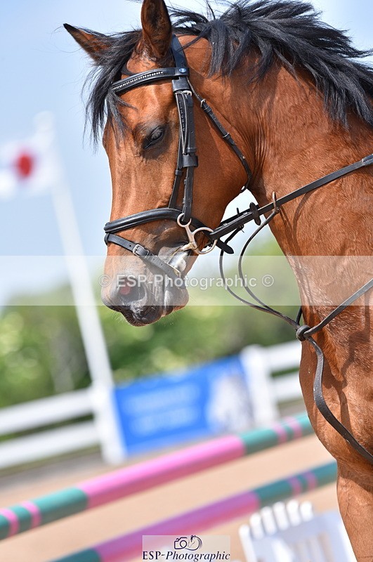 230609A-121844-00865 - Cls 10 85cm Amateur Qualifier