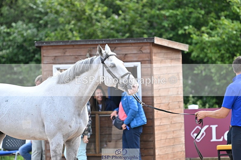 240717A-164337-03500 - Trot Up 4pm to 5pm