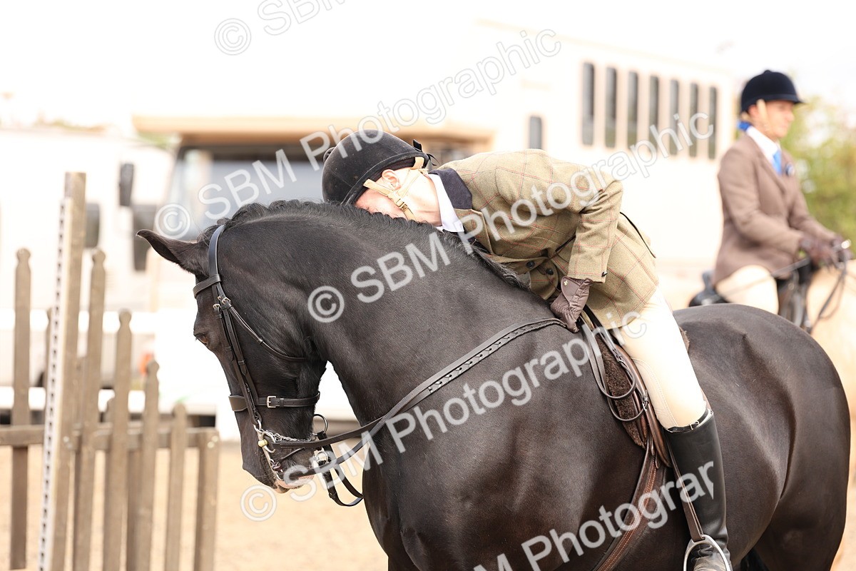 SBM_04299 - Class 54 - Riding Club Horse/Pony