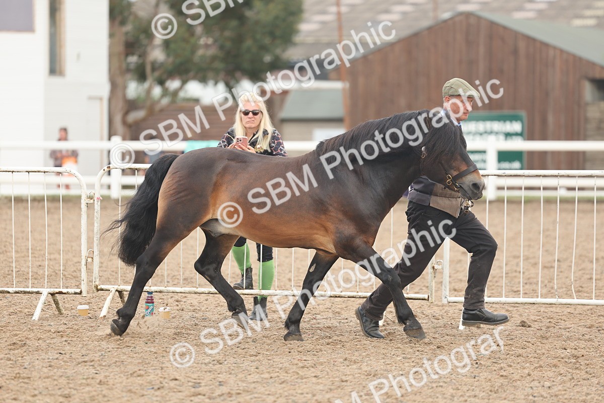 SBM_08469 - Class 29 - IH Veteran Pony