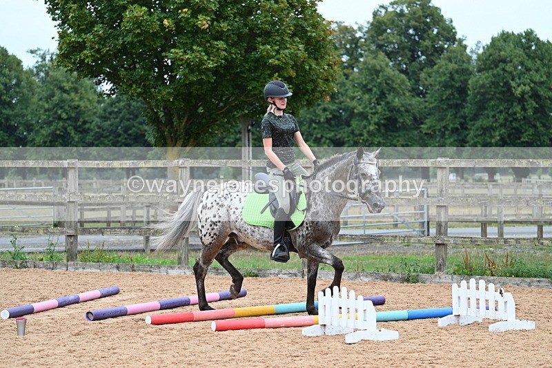 WJ7_9884 - Poles 14:00