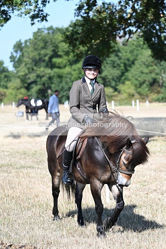 WJ7_3551 - Class 9 Mountain & Moorland Ridden