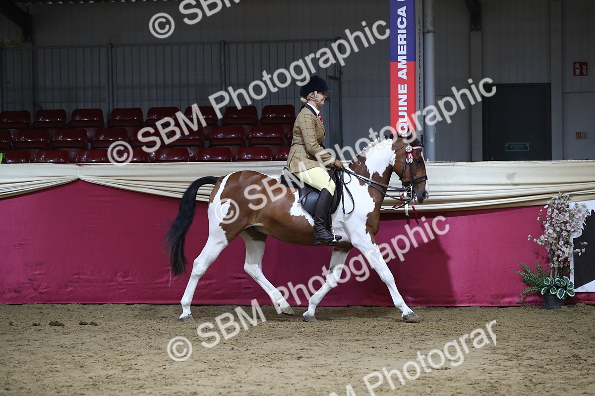 SBM_08494 - Class 11R Regional Ridden Veteran