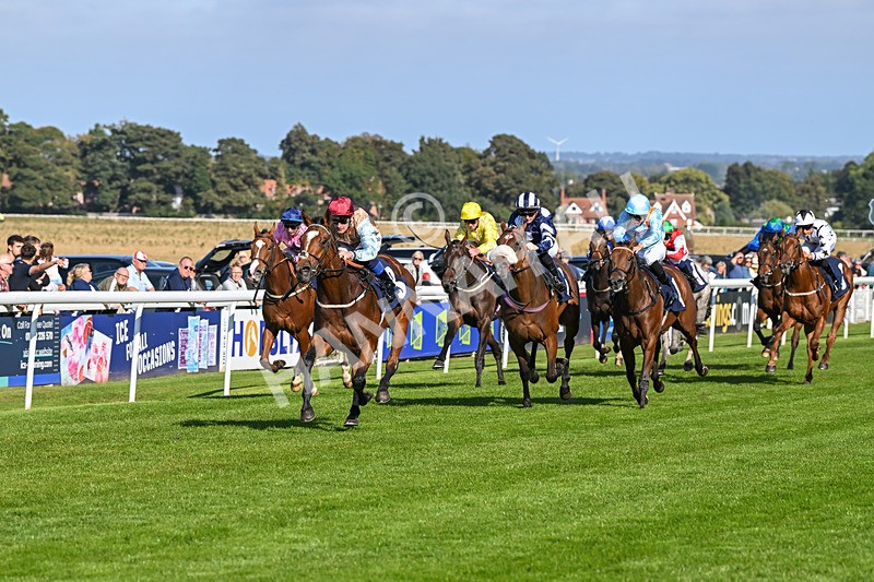 180924-Race 4-Surprised-4468 - Race 4