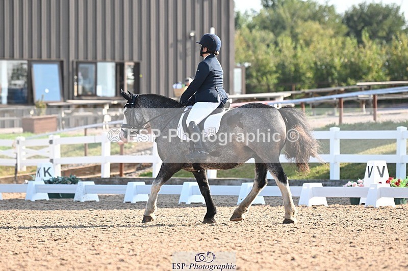 250816-090712-02835 - 055-Neve.HollowaySD.Out.of.the.Blue