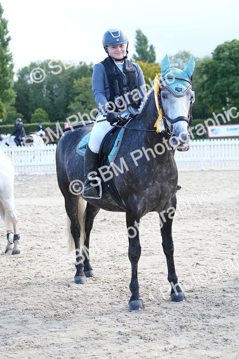 SBM_36400 - J5 - Junior Pony 50cm Championship