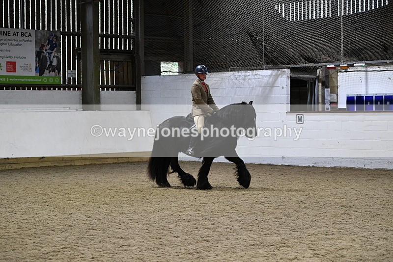 WJ5_8628 - Class 14 Novice Ridden/Rider