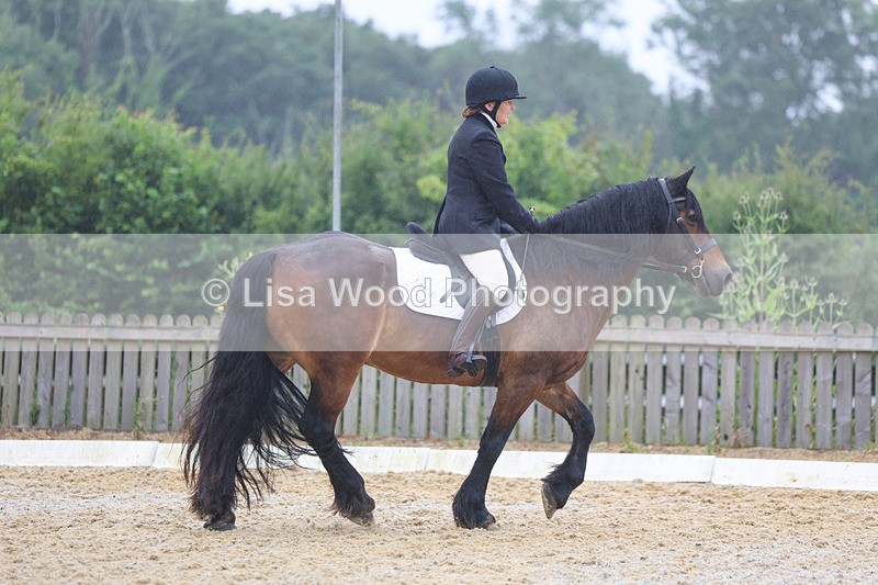 3E7A8456 - Class 2: Intro 3 2024 section B